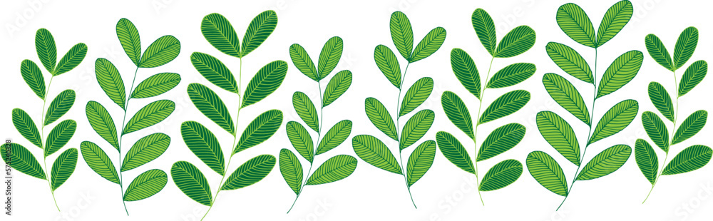 Set of green twigs with leaves. Decorative element. Natural ornament. Vector illustration. Set of green twigs with leaves. Decorative element. Natural ornament. Vector illustration.