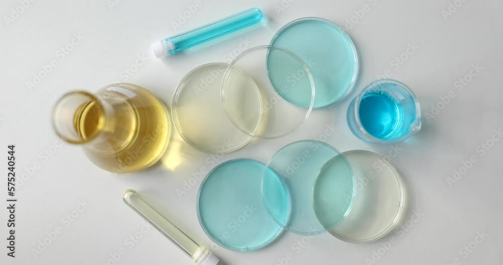 Petri dish flasks with liquid and laboratory equipment for biochemical experiment Petri dish flasks with liquid and laboratory equipment for biochemical experiment