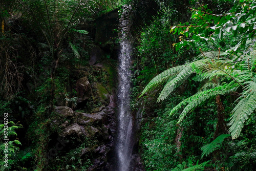 the water flows down on the rocks so there is little greenery living around it 