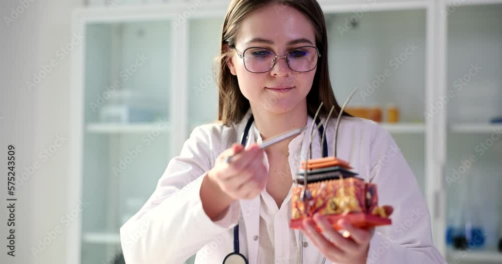 Dermatologist in holds layout of anatomy of structure of skin Dermatologist in holds layout of anatomy of structure of skin