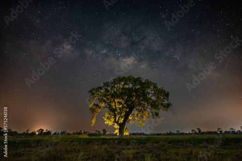 Beautiful Milky way galaxy with stars and space dust in the universe