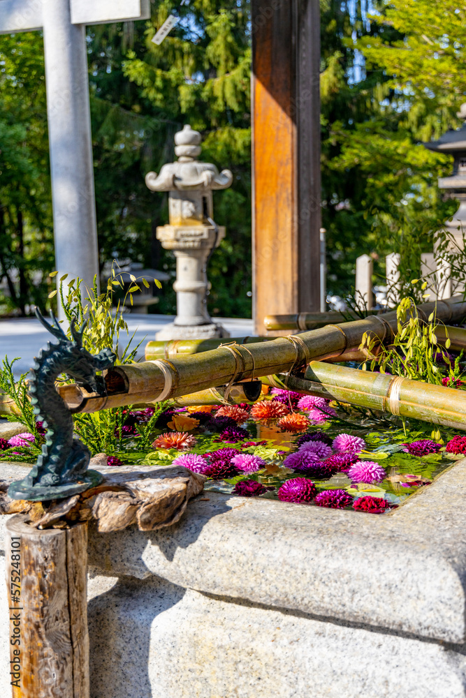 小樽住吉神社の花手水（北海道小樽市）