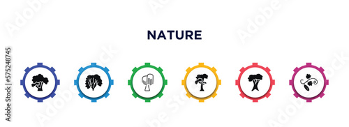 nature filled icons with infographic template. glyph icons such as honey-locust tree, american hornbeam tree, black willow tree, slippery elm white oak cucumber vector.