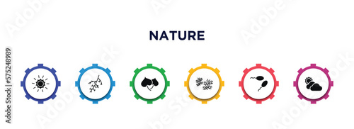 nature filled icons with infographic template. glyph icons such as shining sun with rays, larch leaf, cercis leaf, escuamiforme, fertilize clinic, sunny protic vector.