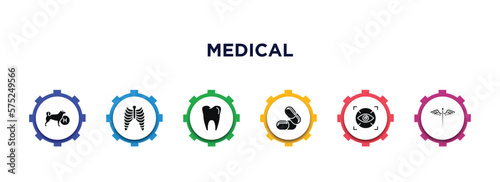 medical filled icons with infographic template. glyph icons such as canine, sternum, molar tooth, medicine capsules, eye scanner medical, caduceus vector.