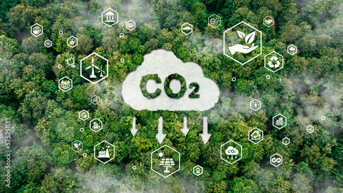 icon reduce CO2 emission concept on the top view of the forest for environmental, Sustainable development, and green business based on renewable energy limit climate change and global warming. photo