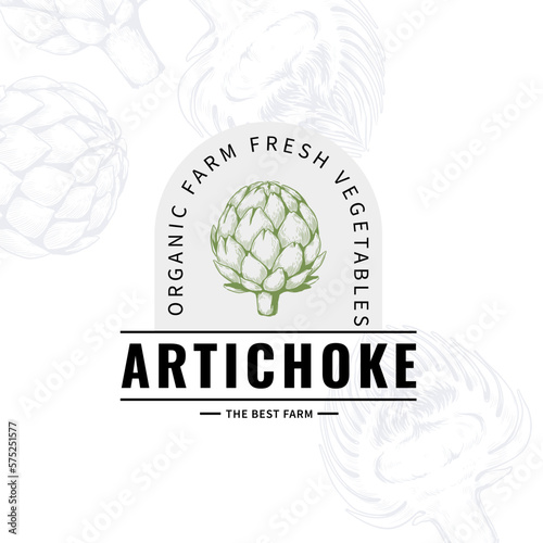 Artichoke logo drawing, natural food logotype, vegetable restaurant menu. Vintage hand drawn retro leaf, vegetable farm, graphic plant sketch. Isolated element. Vector design background