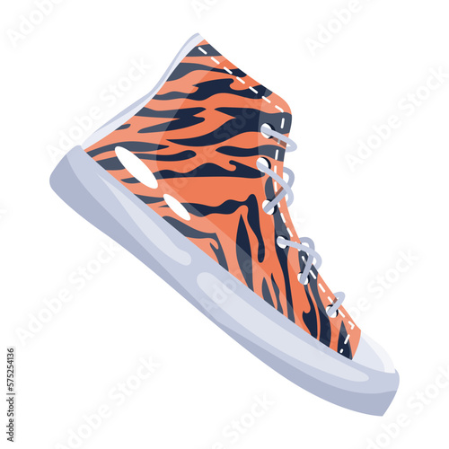 Ankle Shoe 