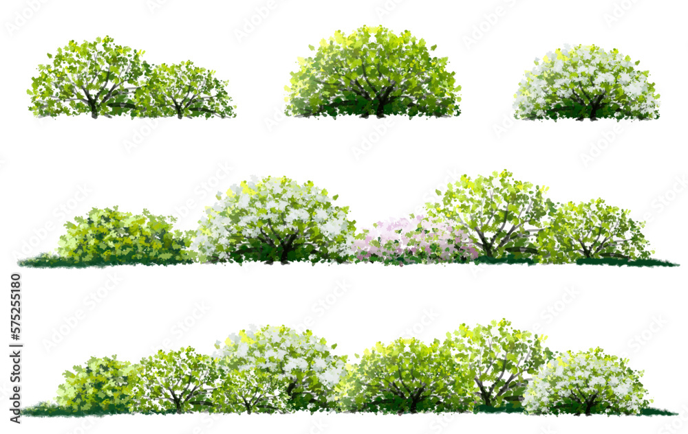 Vector watercolor blooming flower tree side view isolated on white background for landscape and architecture drawing, elements for environment and garden,botanical elements for section in spring  - obrazy, fototapety, plakaty 