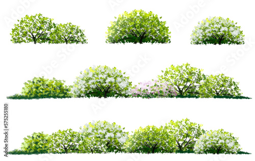 Fototapete Vector watercolor blooming flower tree side view isolated on white background fo
