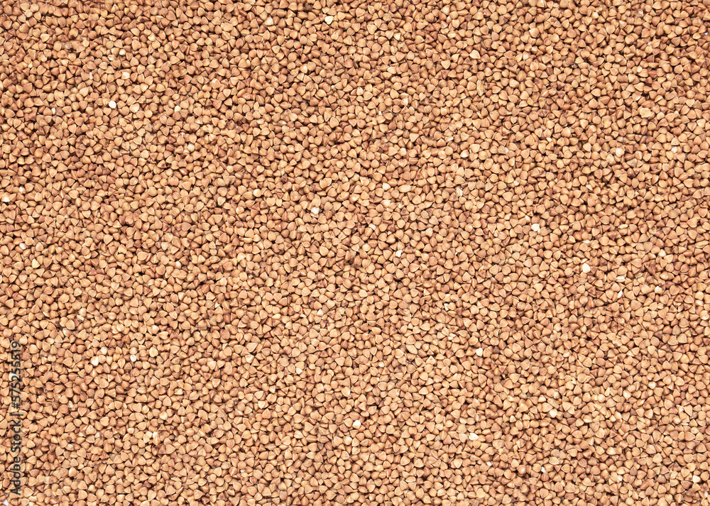 Food background. Brown dry grains of buckwheat lie tightly on the surface Food background. Brown dry grains of buckwheat lie tightly on the surface