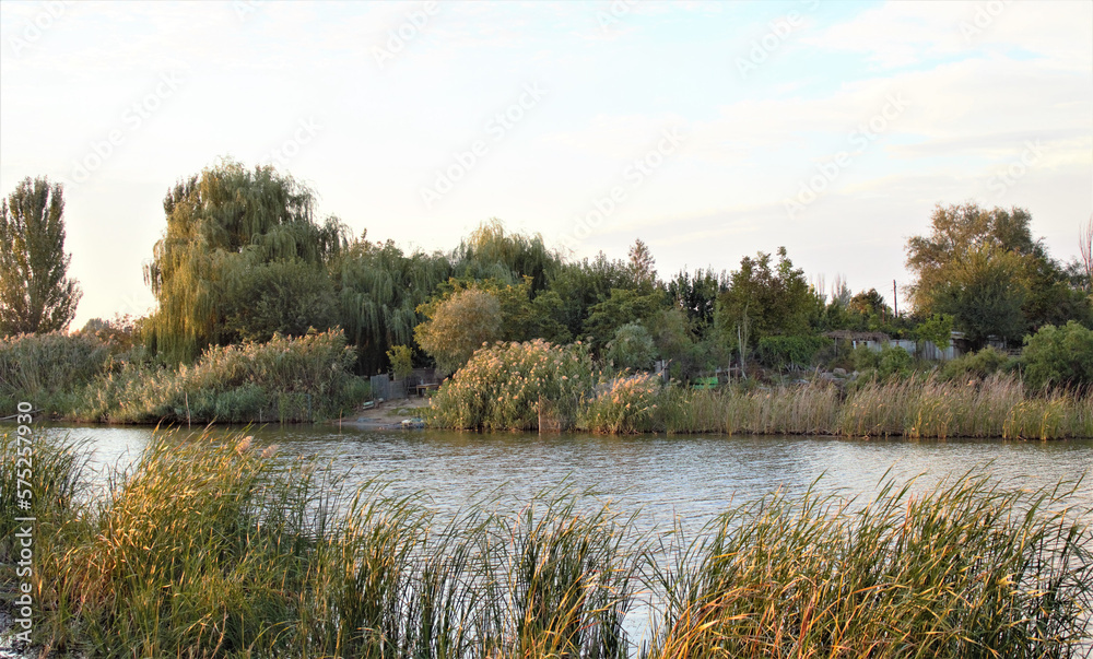 Fototapeta premium river landscape