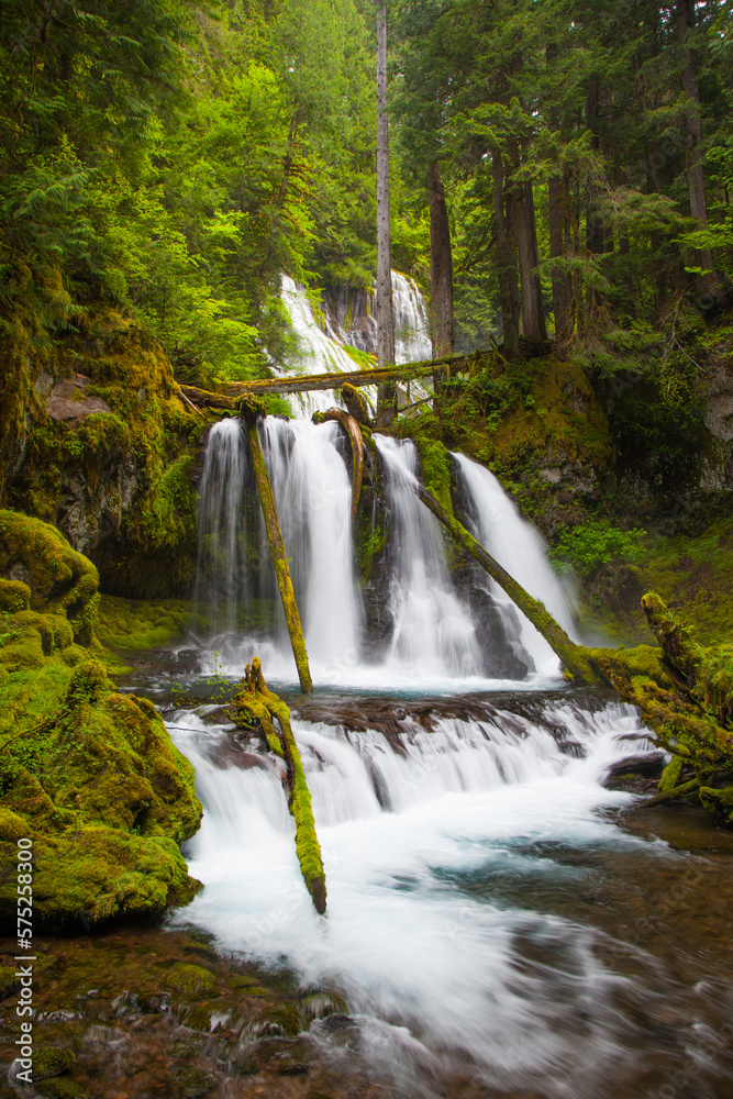 Upper and Lower Panther Creek Falls Upper and Lower Panther Creek Falls
