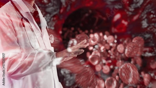 The circulatory system transports oxygen-rich blood to tissues and organs and returns oxygen-poor blood to the heart and lungs. Red blood cells carry oxygen throughout the body via hemoglobin.