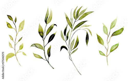 Set of watercolor greenery branches, botanical elements isolated on white background