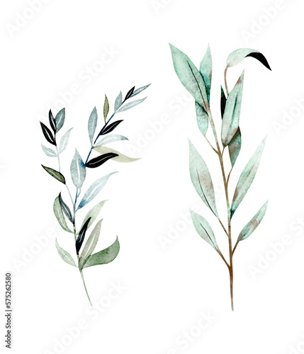 Set of watercolor greenery branches  botanical elements isolated on white background