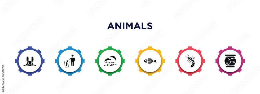 animals filled icons with infographic template. glyph icons such as bunny, litter, dolphins, fish bones, grub, fishbowl vector. animals filled icons with infographic template. glyph icons such as bunny, litter, dolphins, fish bones, grub, fishbowl vector.