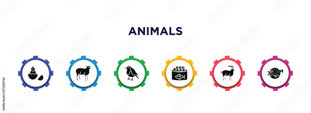 animals filled icons with infographic template. glyph icons such as baby chicken, lamb side view, robin, caviar, mouflon, puffer fish vector. animals filled icons with infographic template. glyph icons such as baby chicken, lamb side view, robin, caviar, mouflon, puffer fish vector.
