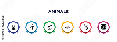 animals filled icons with infographic template. glyph icons such as bunny, litter, dolphins, fish bones, grub, fishbowl vector.