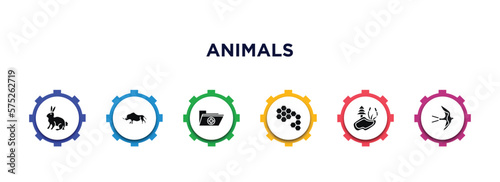 animals filled icons with infographic template. glyph icons such as sitting rabbit, coelodonta, medic folder, bee hive, pond, swallow vector.