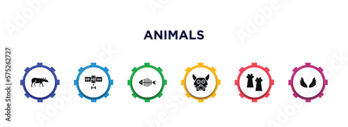 animals filled icons with infographic template. glyph icons such as tapir, leash, fish bone, japanese cat head, leg, wing vector.