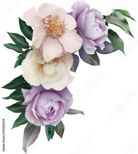 Fototapeta Naklejka Na Ścianę i Meble -  Bouquet of soft lilac roses and peony isolated on a transparent background. Png file.  Corner floral arrangement. . Can be used for invitations, greeting, wedding card.