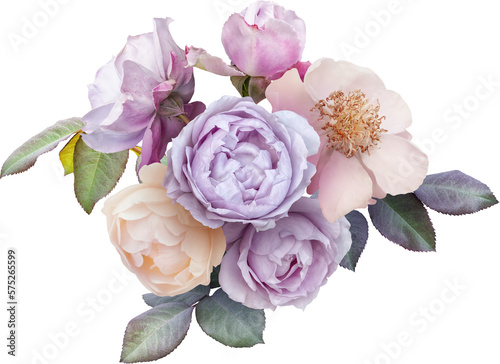 Vászonkép Bouquet of soft lilac and white roses isolated on a transparent background