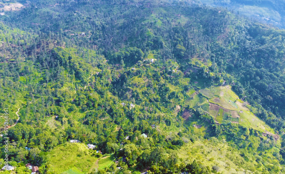 Fototapeta premium Aerial view of the green hills and gorge. Beautiful mountain background texture for tourism and advertising. Tropical landscape from a drone