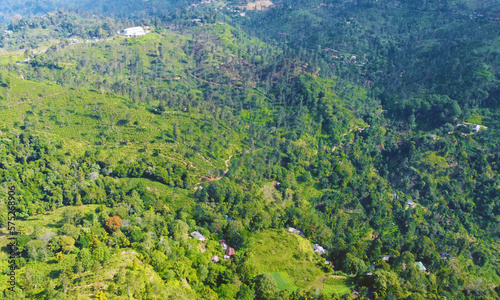 Aerial view of the green hills and gorge. Beautiful mountain background texture for tourism and advertising. Tropical landscape from a drone