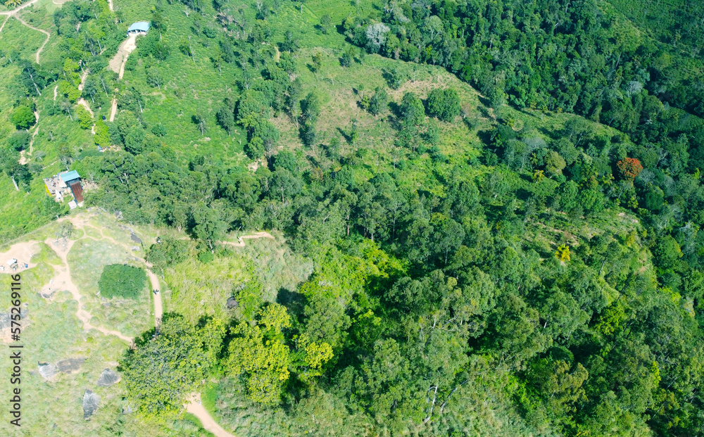 Aerial view of the green hills and gorge. Beautiful mountain background texture for tourism and advertising. Tropical landscape from a drone Aerial view of the green hills and gorge. Beautiful mountain background texture for tourism and advertising. Tropical landscape from a drone