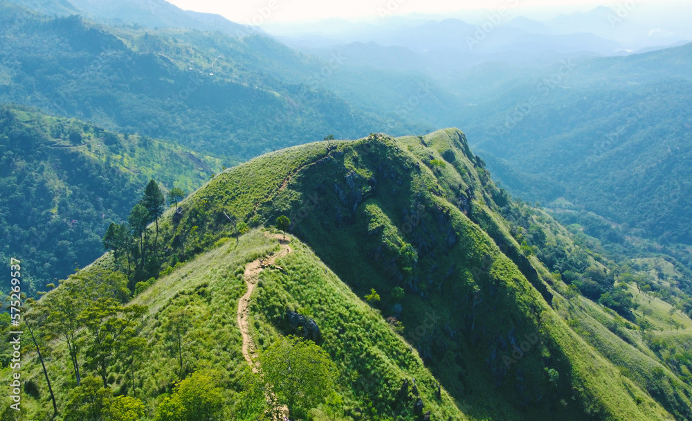 Fototapeta premium Aerial view of the green hills and gorge. Beautiful mountain background texture for tourism and advertising. Tropical landscape from a drone