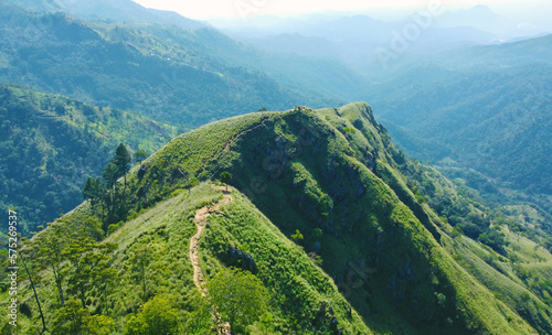 Aerial view of the green hills and gorge. Beautiful mountain background texture for tourism and advertising. Tropical landscape from a drone