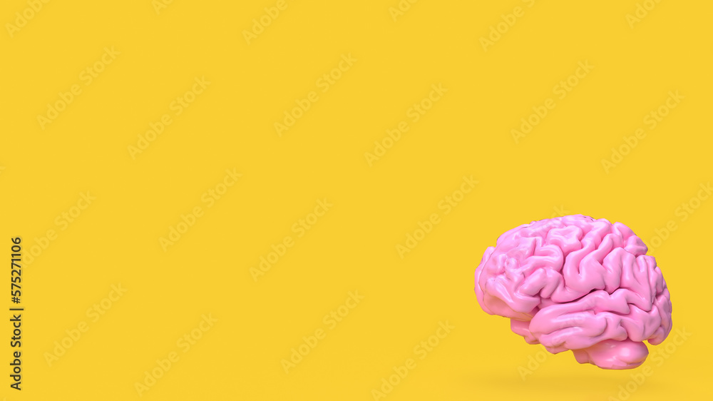 The pink brain on yellow background for creative or idea concept 3d rendering. The pink brain on yellow background for creative or idea concept 3d rendering.