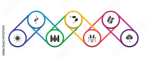 nature filled icons with infographic template. glyph icons such as perfoliate, fertilize clinic, bilberry leaf, shining sun with rays, fences, reed bed, linden leaf vector.