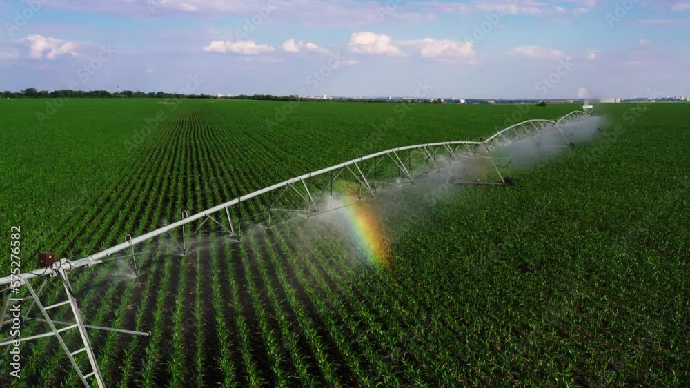 Aerial view drone shot of irrigation system rain gun sprinkler on agricultural soybean field helps to grow plants in the dry season, increases crop yields