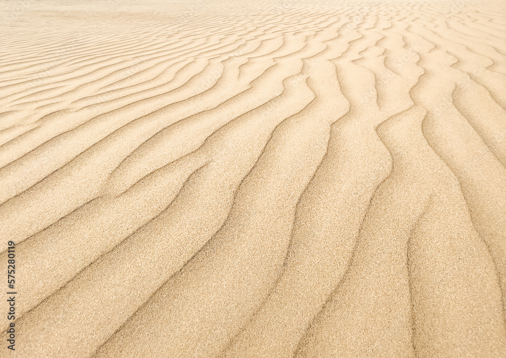 Sand. Texture, surface of sea sand. Soft focus. Partial focus. Natural background. Close-up. Waves of sand. Dunes. Copy space Sand. Texture, surface of sea sand. Soft focus. Partial focus. Natural background. Close-up. Waves of sand. Dunes. Copy space