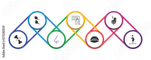 human body parts filled icons with infographic template. glyph icons such as two spermatozoon, bones joint, digestive system, broken bone, e side view, mouth open, woman pregnant vector.