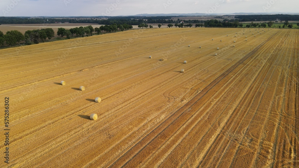 Obraz premium Paweł Urbański