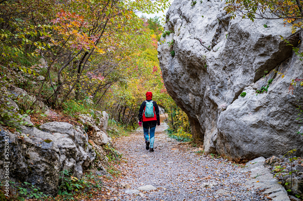 Woman tourist going hiking in deciduous forest between rocks and stones. Colorful autumn nature hiker girl walking in national park in Paklenica National Park Croatia. Cold weather outerwear gear.