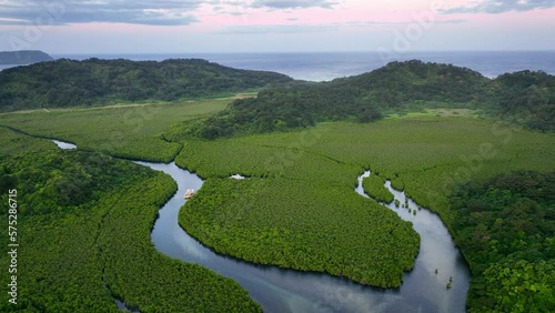 beautiful dense jungle forest in the tropics, aerial view of a river in mangroves, scenic rainforest environment on tropical island in Okinawa photo