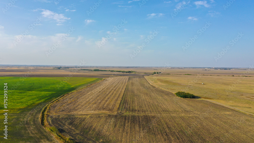 Aerial top view photo from flying drone of a land with yellow fields in countryside in autumn day.