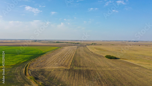Aerial top view photo from flying drone of a land with yellow fields in countryside in autumn day.