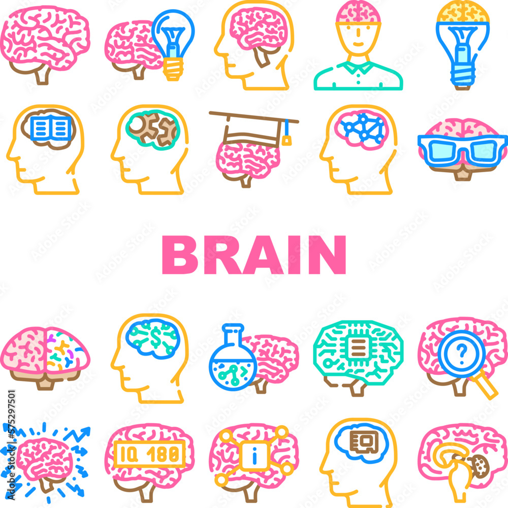 brain mind human head icons set vector brain mind human head icons set vector