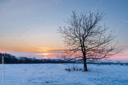Winter Sunrise © Piotr