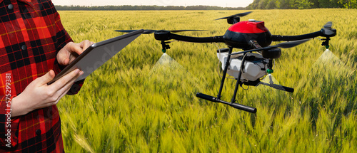 Farmer controls drone sprayer with a tablet. Smart farming and precision agriculture
