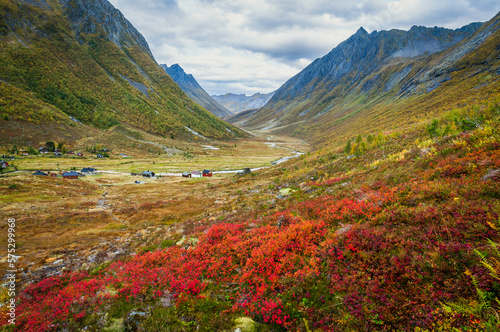 autumn colors in a valley in the mountains