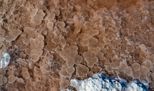 Self-sedimentary salt in the form of round crystalline formations in the hypersaline Kuyalnitsky estuary, an ecological disaster. photo