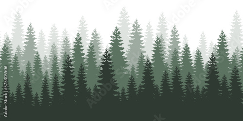Horizontal forest landscape. Layered trees background. Evergreen coniferous trees.