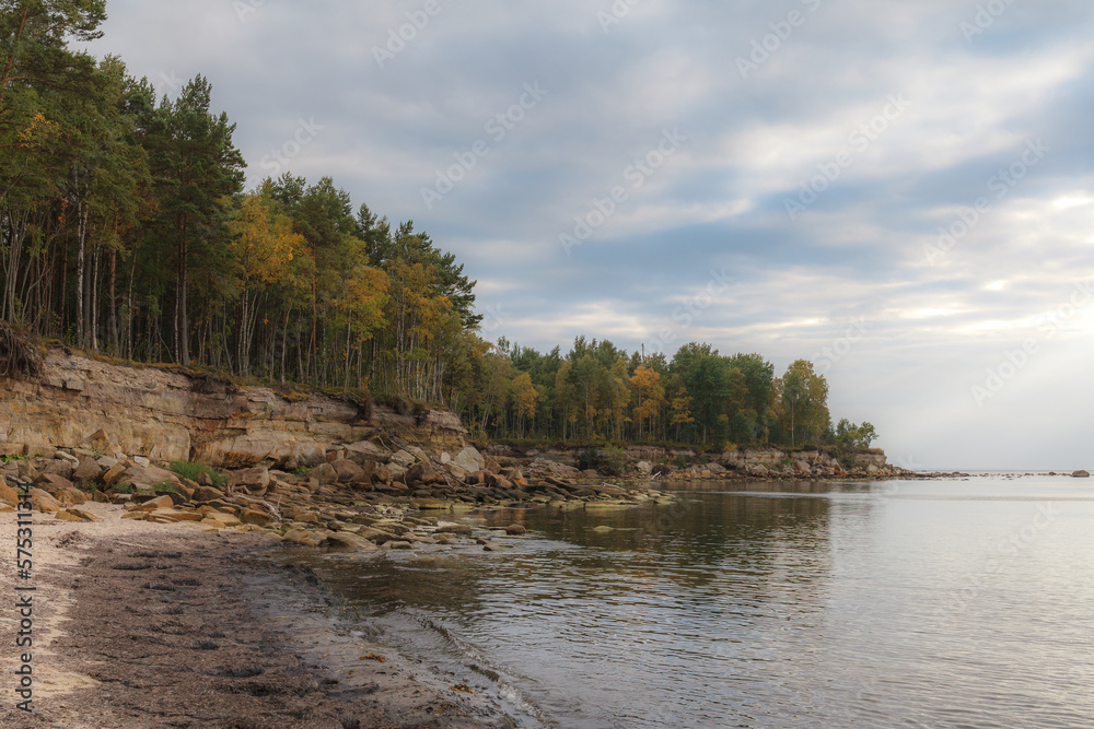 The Baltic Sea coast with forest on the top of cliff, moody weather The Baltic Sea coast with forest on the top of cliff, moody weather