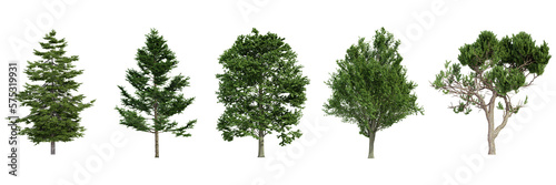 various tree isolated on white, photorealistic render © Gbor